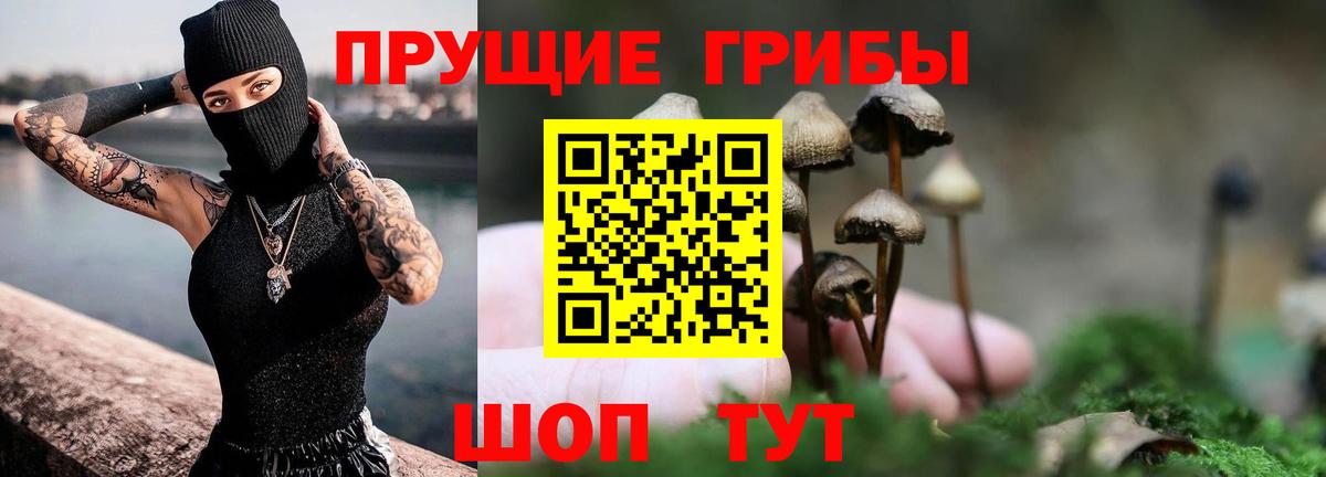 Зеленогорск  Галлюциногенные грибы ЛСД  Вход с VPN 